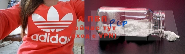 гашик Бикин