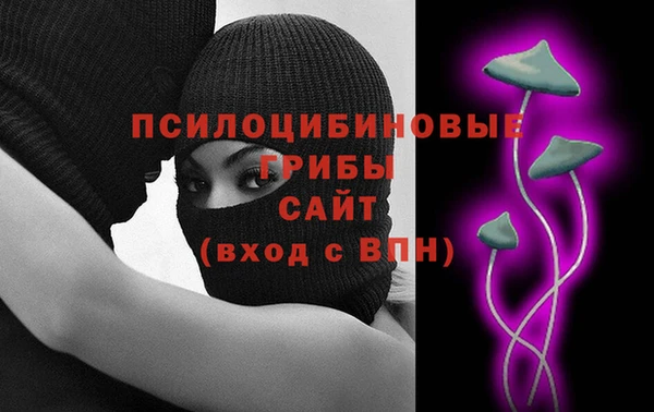 таблы Няндома