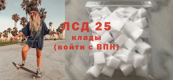 гашик Бикин