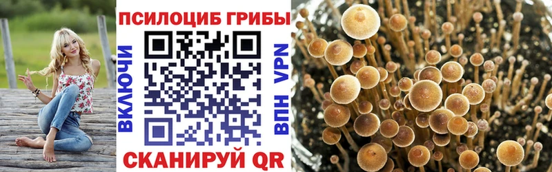 Галлюциногенные грибы MAGIC MUSHROOMS Магнитогорск