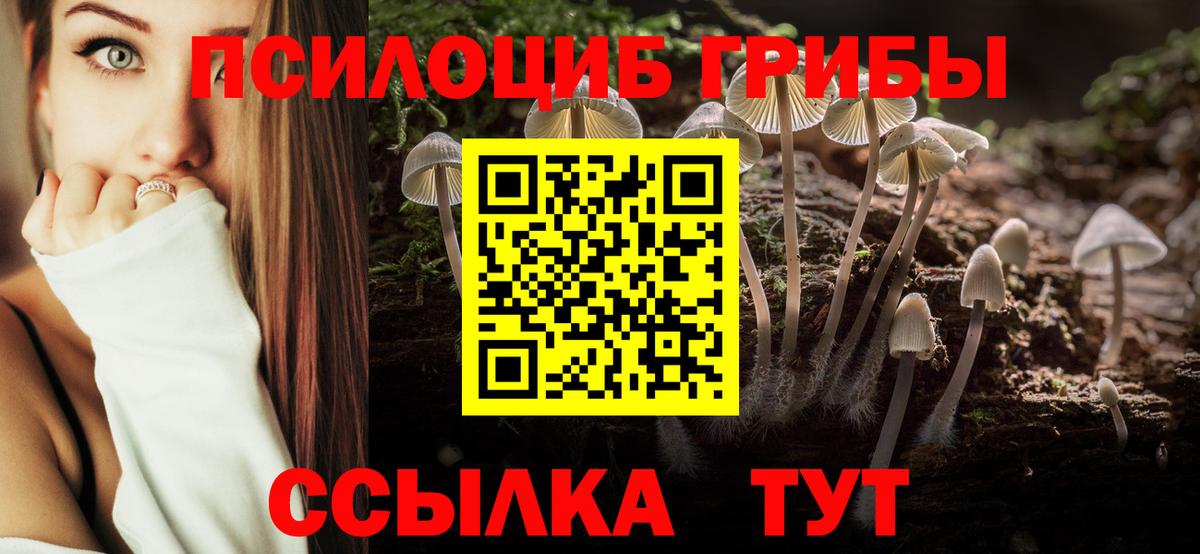 Псилоцибиновые грибы Psilocybine cubensis  Псилоцибиновые грибы мицелий  Вход с VPN  Магнитогорск 